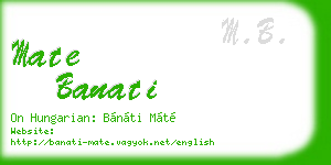 mate banati business card